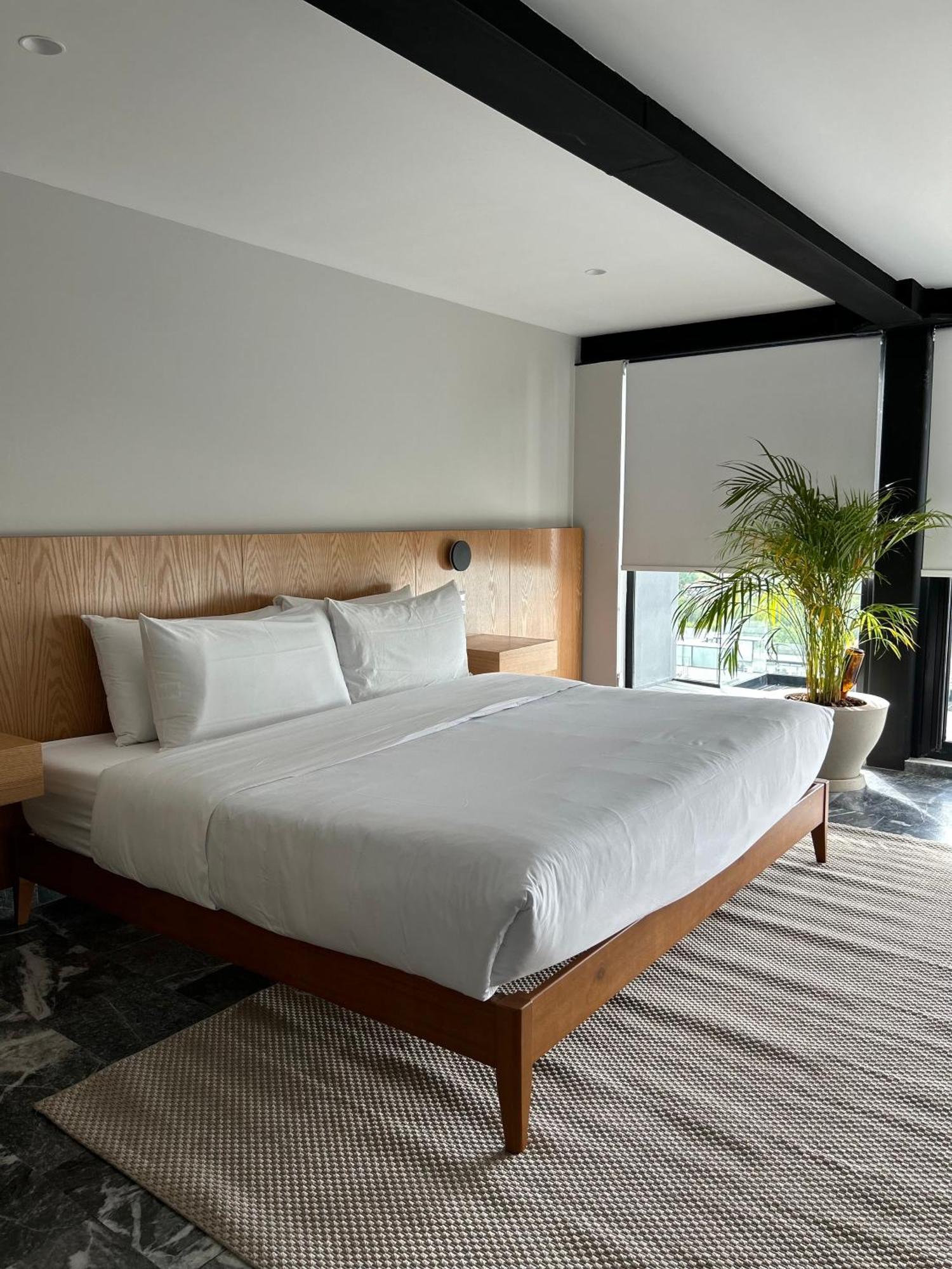 Aparthotel Arquimedes 138 By Wynwood House Città del Messico Esterno foto
